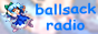 bsr.png
